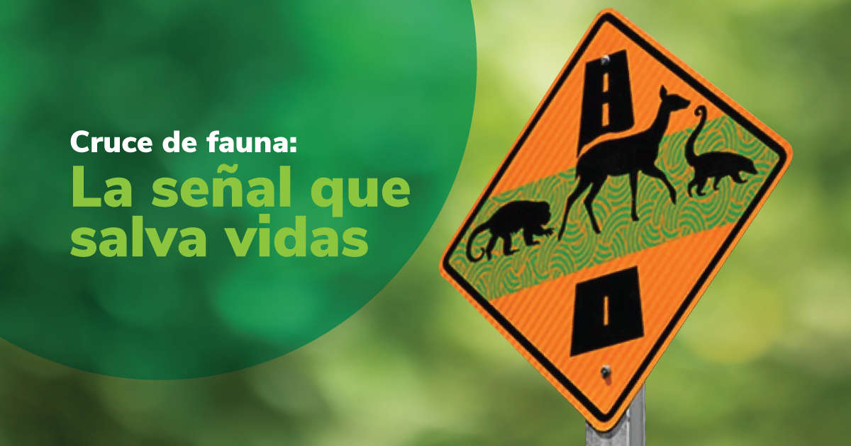 Cruce de fauna La señal que salva vidas 
