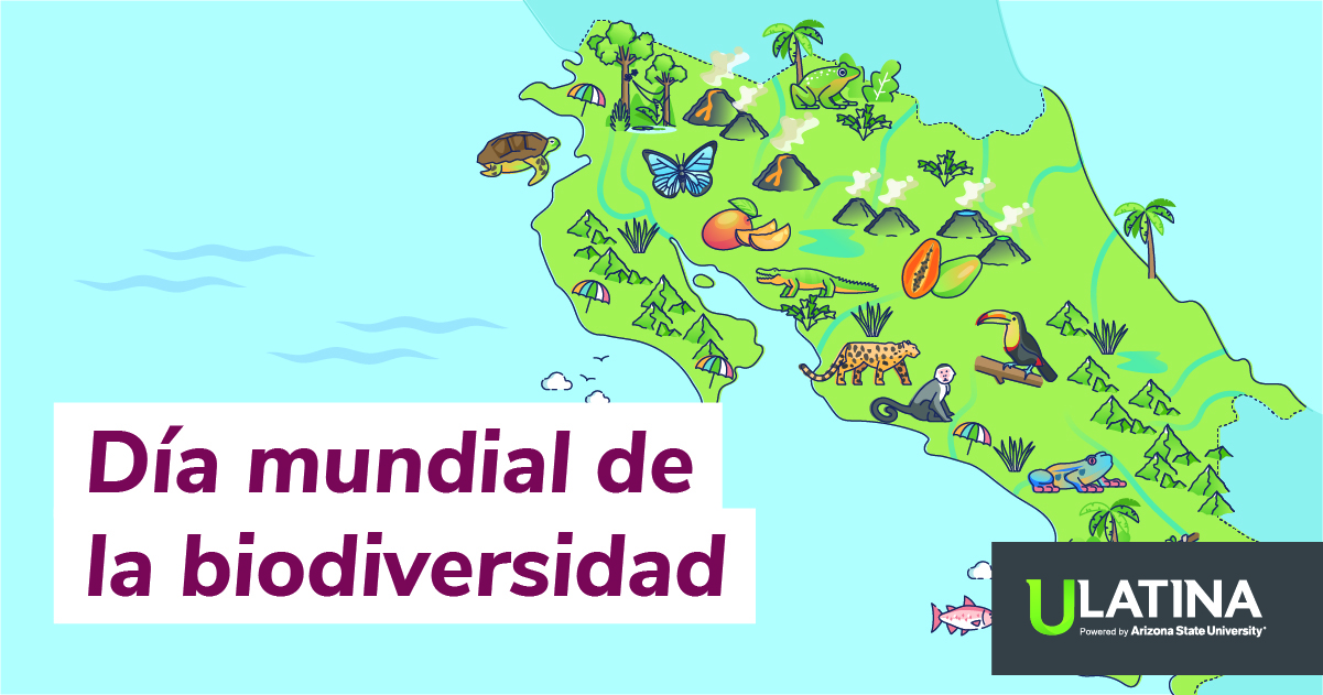 ¿Por qué Proteger las Áreas Marinas Protegidas?
